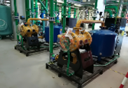 SRS – Scale Removing System